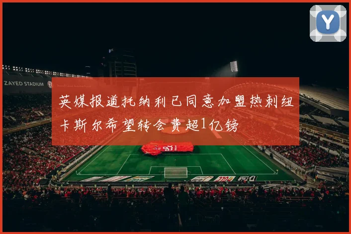 英媒报道托纳利已同意加盟热刺纽卡斯尔希望转会费超1亿镑
