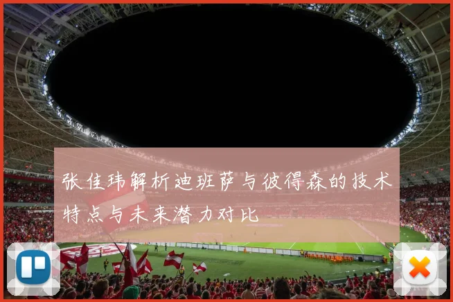 张佳玮解析迪班萨与彼得森的技术特点与未来潜力对比
