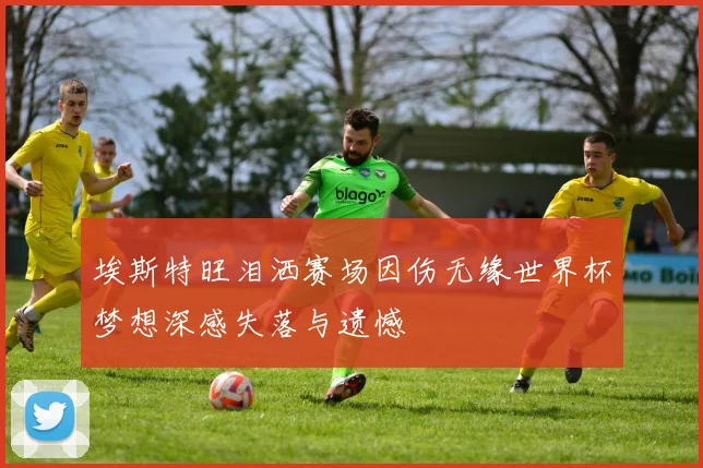 埃斯特旺泪洒赛场因伤无缘世界杯梦想深感失落与遗憾